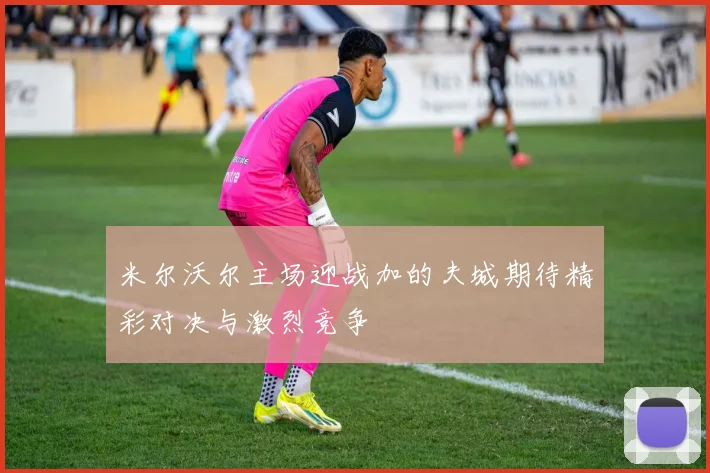 米尔沃尔主场迎战加的夫城期待精彩对决与激烈竞争